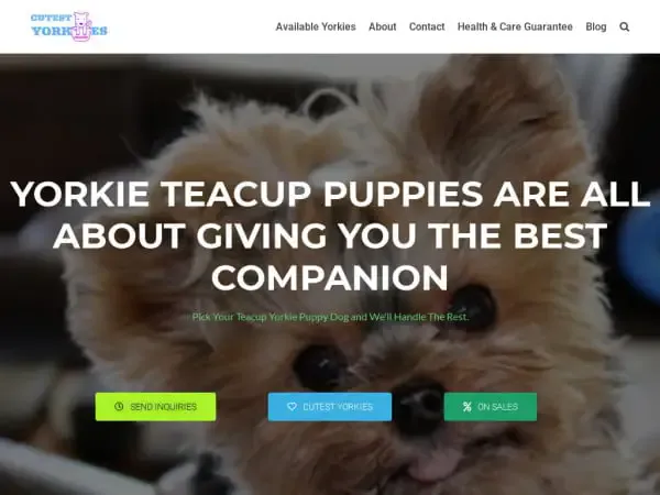 Screenshot of