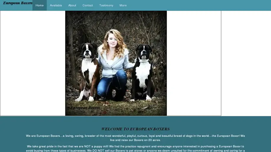 Screenshot of