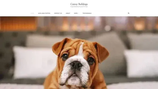 Screenshot of