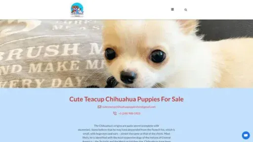 Screenshot of