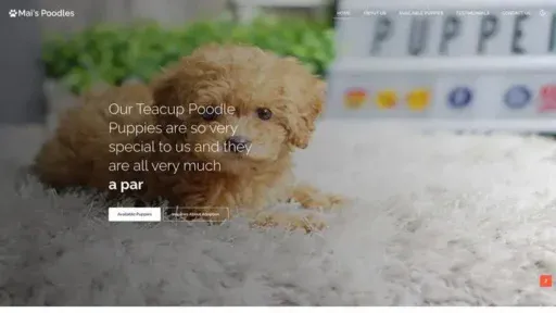 Screenshot of