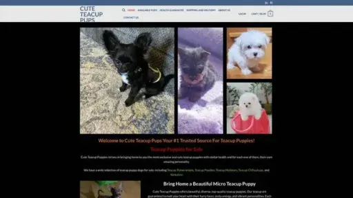 Screenshot of