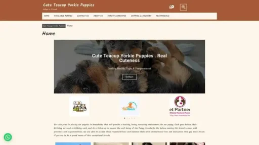 Screenshot of