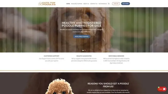 Screenshot of