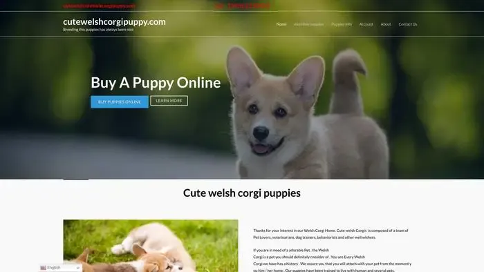 Screenshot of
