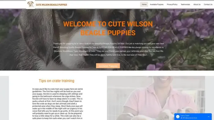Screenshot of