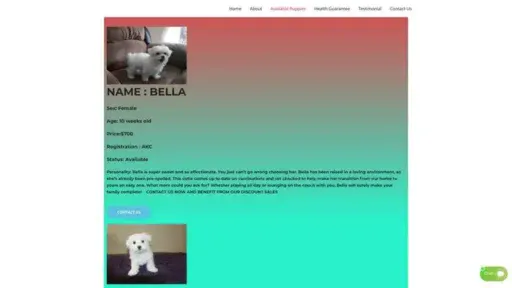 Screenshot of