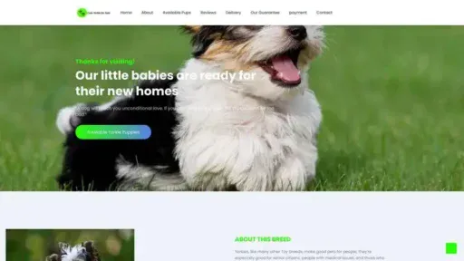 Screenshot of