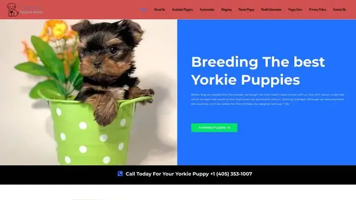 Screenshot of