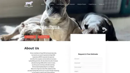 Screenshot of
