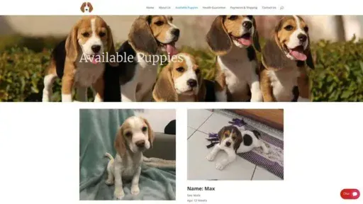 Screenshot of