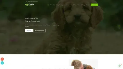 Screenshot of|