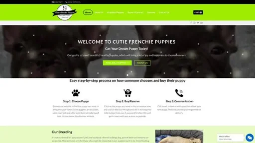 Screenshot of