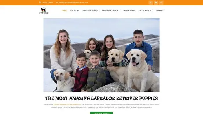 Screenshot of
