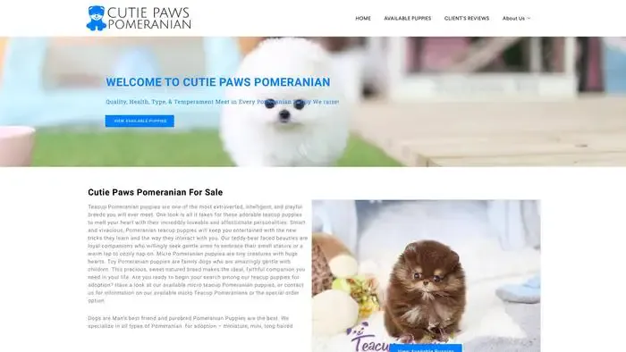 Screenshot of