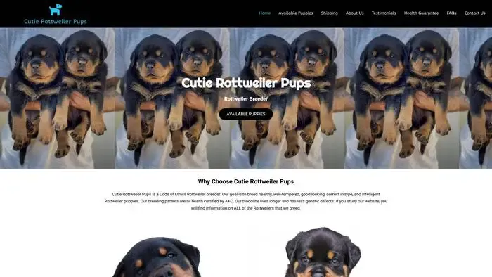 Screenshot of