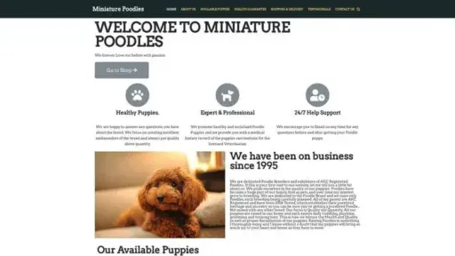 Screenshot of