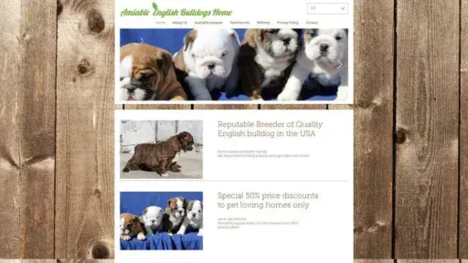 Screenshot of