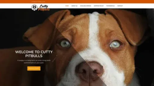 Screenshot of||