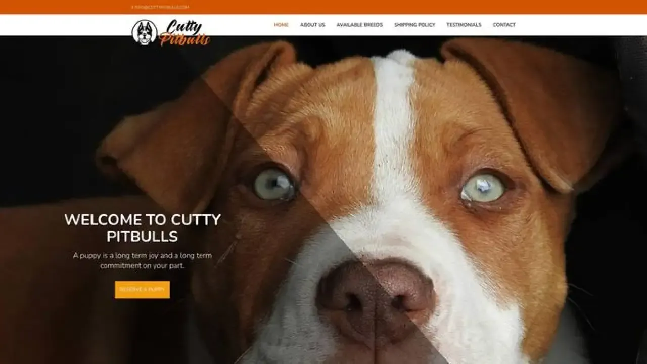 Cuttypitbulls