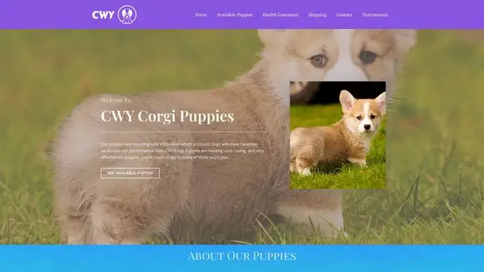 Screenshot of