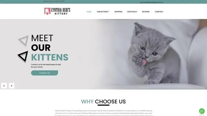 Screenshot of