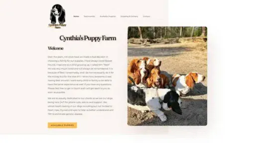 Screenshot of