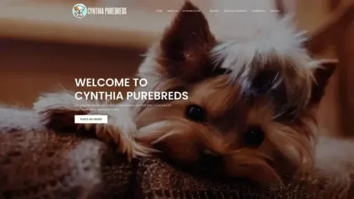 Screenshot of