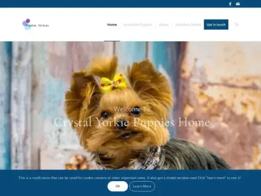 Screenshot of