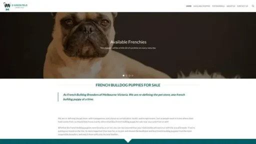 Screenshot of