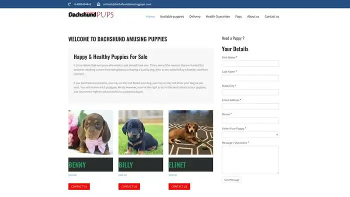 Screenshot of