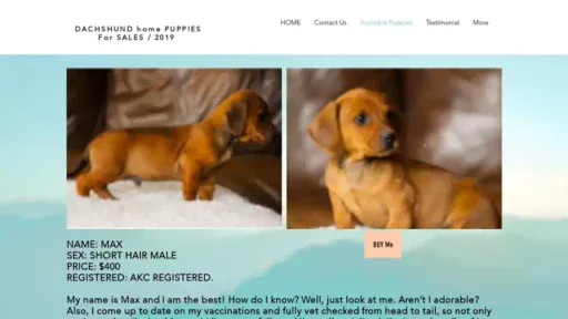 Screenshot of
