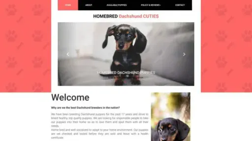 Screenshot of