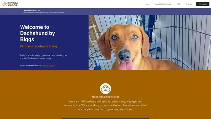 Screenshot of