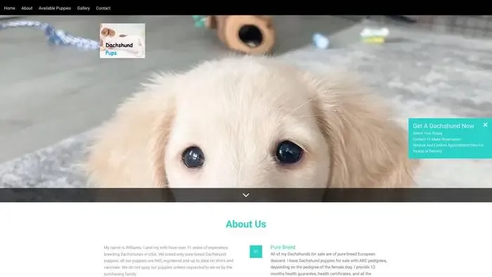Screenshot of