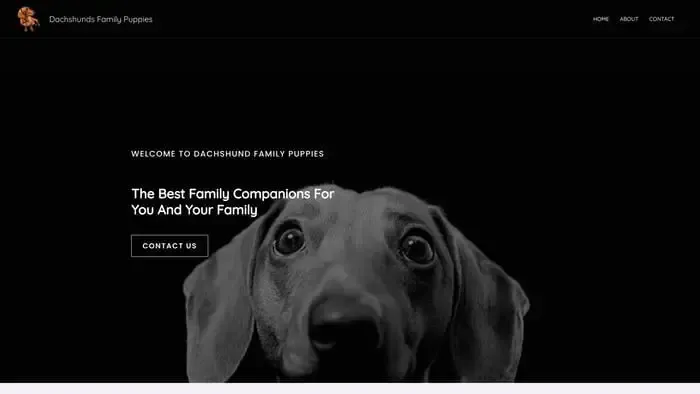 Screenshot of