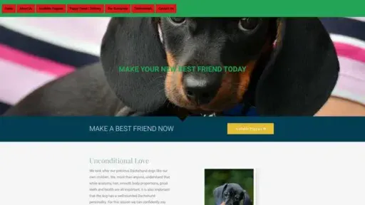 Screenshot of