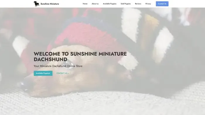 Screenshot of