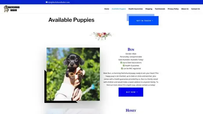 Screenshot of