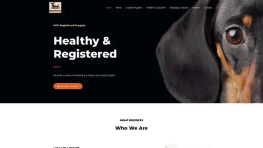 Screenshot of