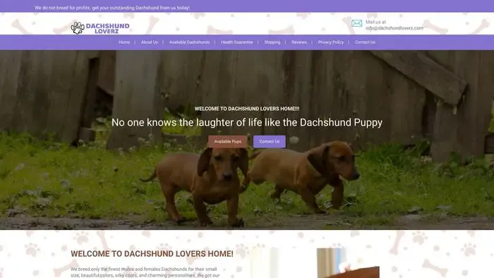Screenshot of