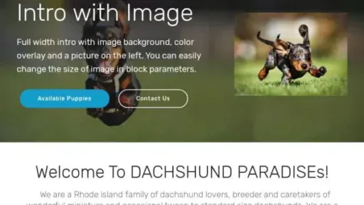 Screenshot of
