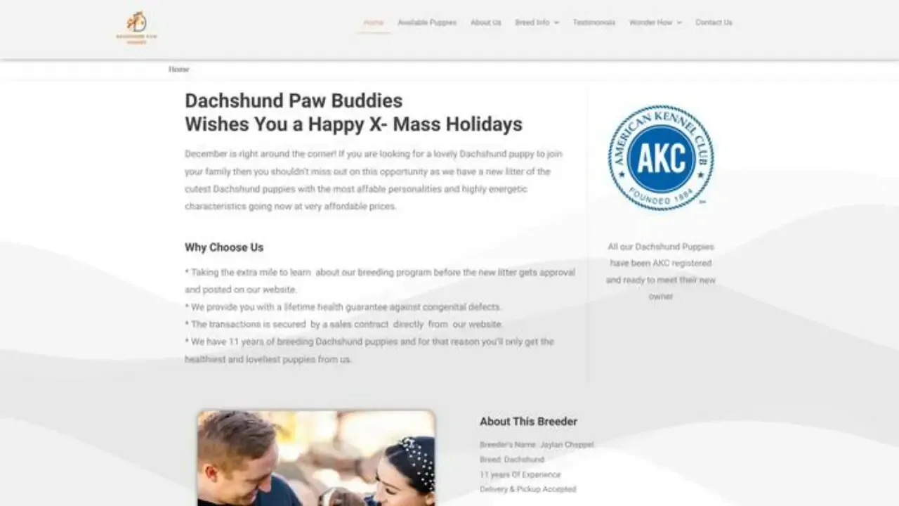 Dachshundpawbuddies