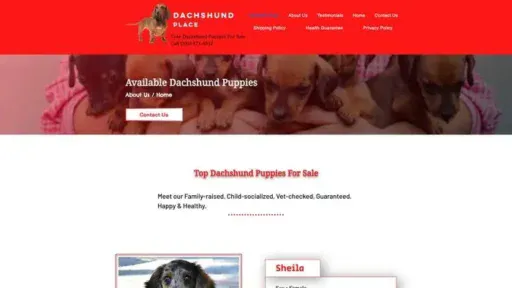 Screenshot of