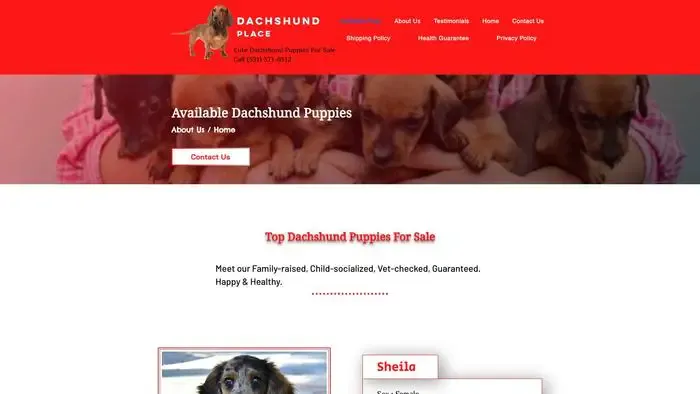 Screenshot of