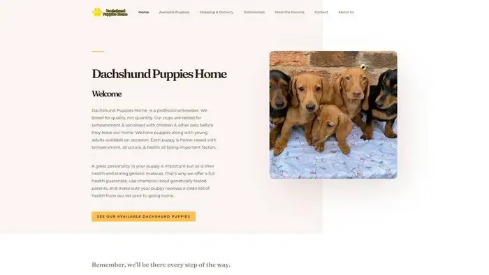 Screenshot of