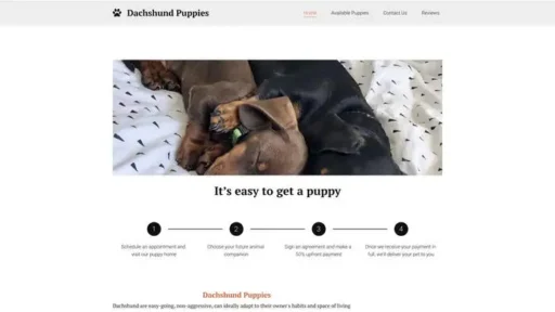 Screenshot of
