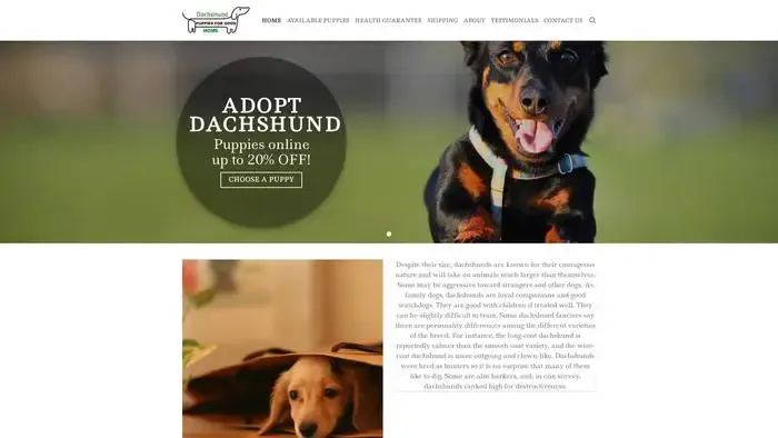 Screenshot of