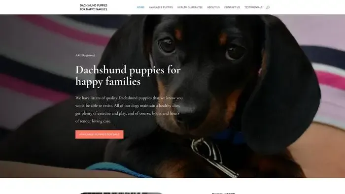 Screenshot of