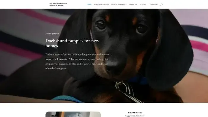 Screenshot of